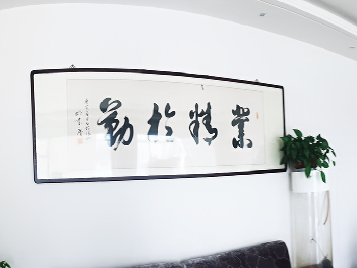 公司展示